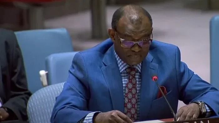 مندوب السودان بمجلس الأمن يتهم «الدعم السريع» بالاتجار بالأعضاء في سجون دارفور